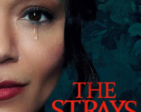 2023英国惊悚《流浪者》The Strays 2023  BD1080P 中英双字，阿里云盘 流浪者 The Strays 2023免费在线观看，阿里云盘欧美影视资源，阿里云盘影视分享网站，阿里云盘