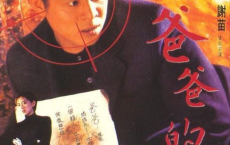 给爸爸的信 (1995) 1080P REMUX 国粤多音轨【原盘】[免费在线观看][免费下载][网盘资源][4K资源]