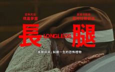 长腿怪 Longlegs (2024) 惊悚 恐怖 电影[免费在线观看][免费下载][网盘资源][欧美影视]